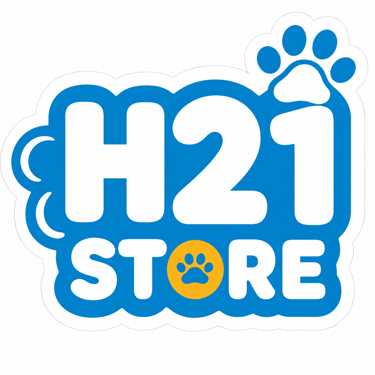 H21 STORE