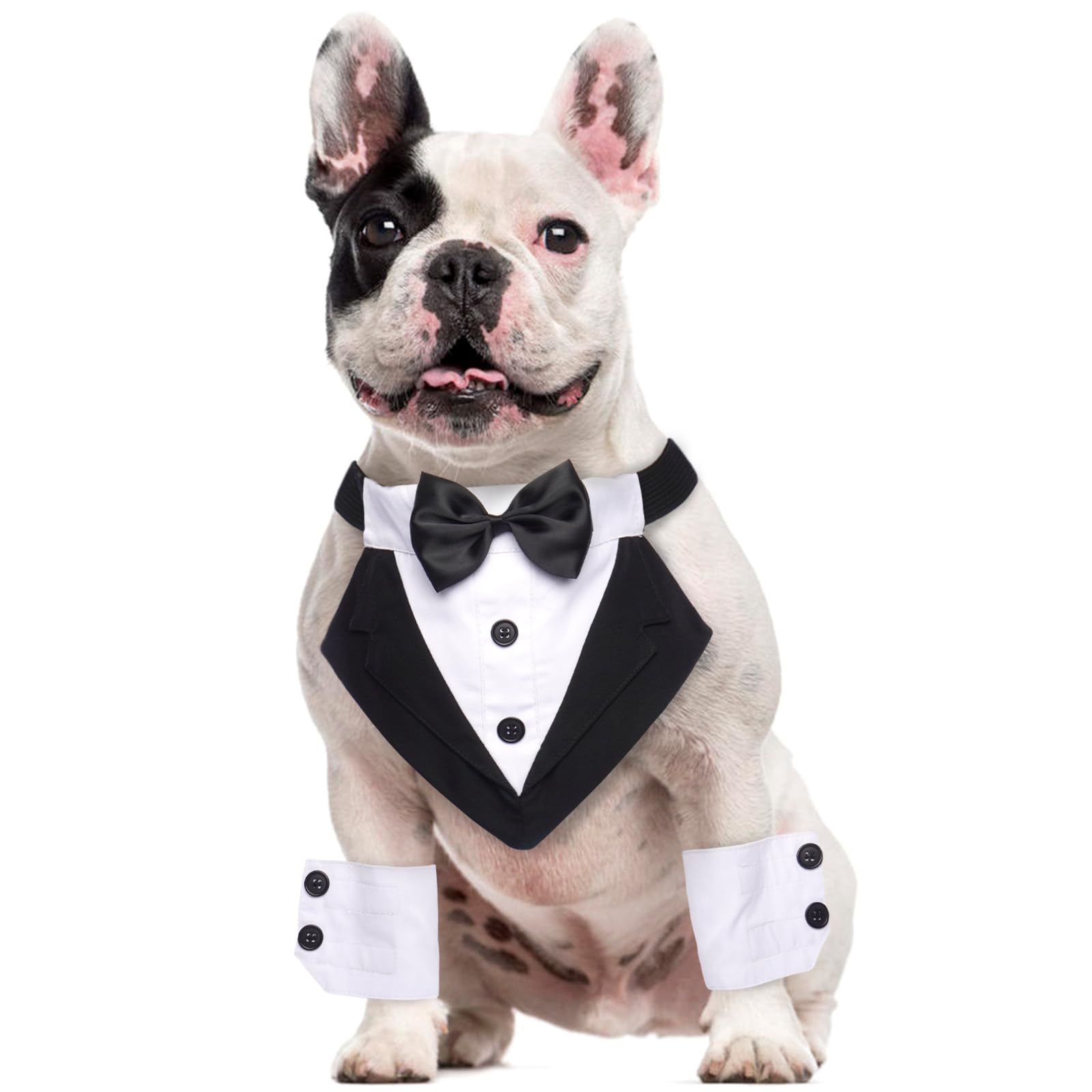 Elegant Pooch Tuxedo Set