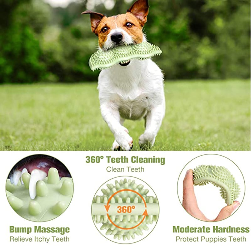 ChewSmart Dog Toy Ball