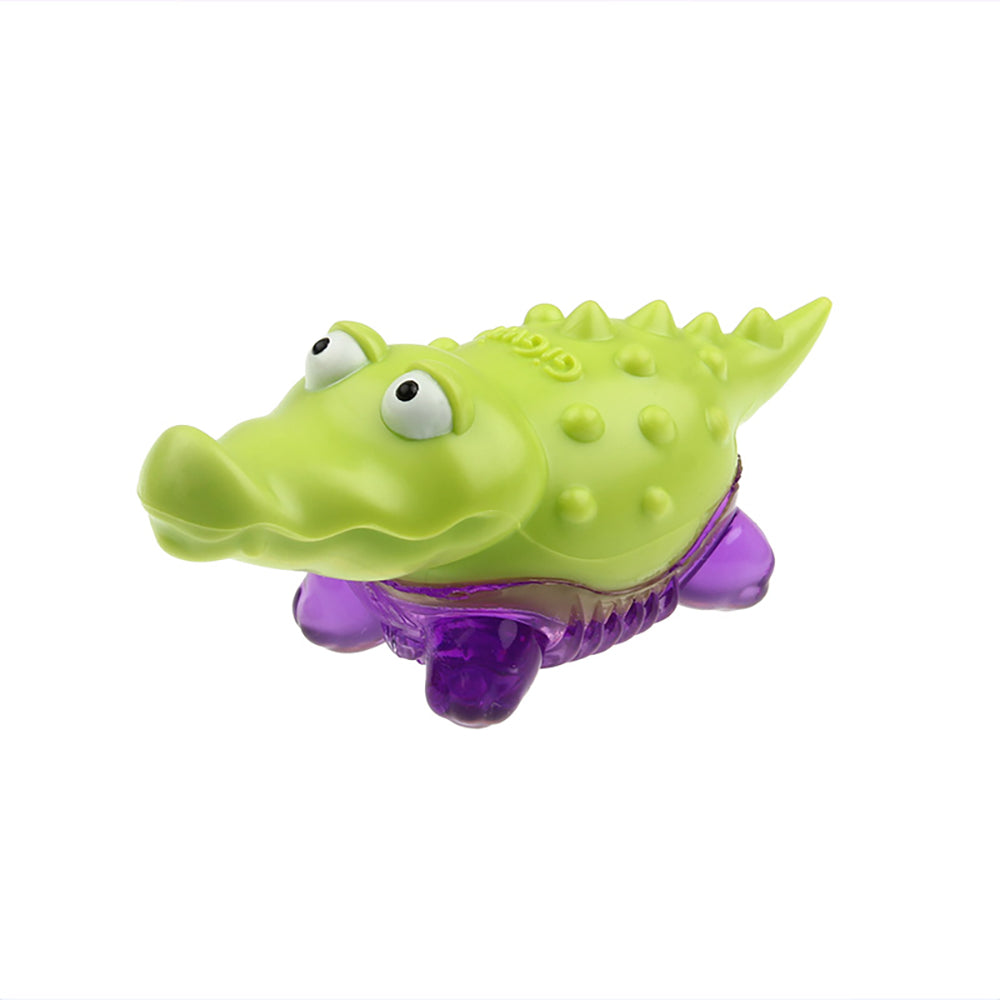 Puppy Fun Molar Noise Toys