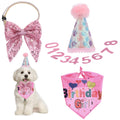 Pet Birthday Celebration Kit