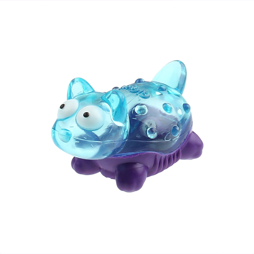 Puppy Fun Molar Noise Toys