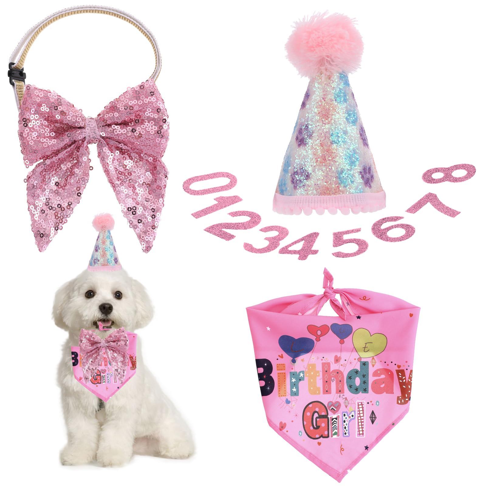 Pet Birthday Celebration Kit