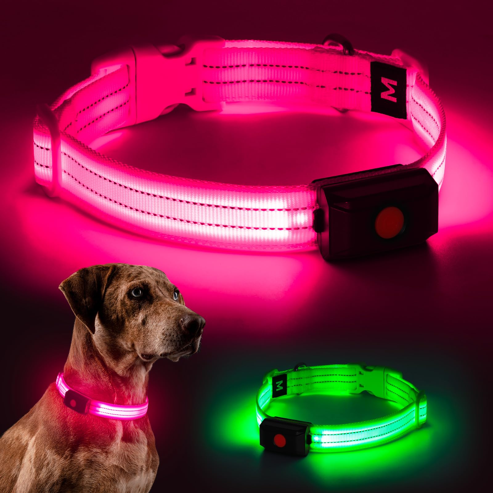 LED Glow Dog Collar